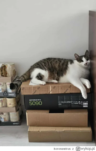 koronawirus - XD jasiu
#pokazkota #smiesznypiesek #kitku #pcmasterrace