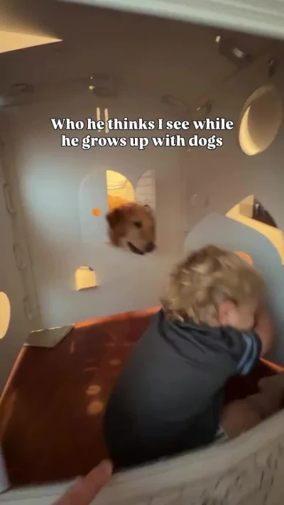 gaz_wieprzowy - #psiarze #psiegryw

Wstrząsające wideo pokazujące dziecko podczas spo...