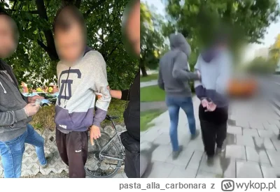 pastaallacarbonara - Zlapali opluwacza ;) 

https://tuwroclaw.com/artykul/jezdzil-na-...