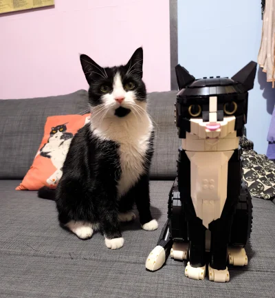 Rosinante - Płotka pozuje ze swoim sobowtórem LEGO. Muszę tylko plastikowej brodę na ...