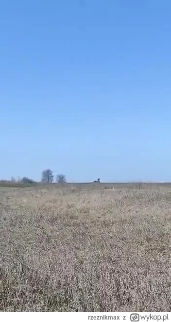 rzeznikmax - @JanRouterTrzeci: rosyjska obrona przeciwlotnicza: