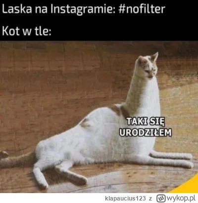 klapaucius123 - #tinder #badoo