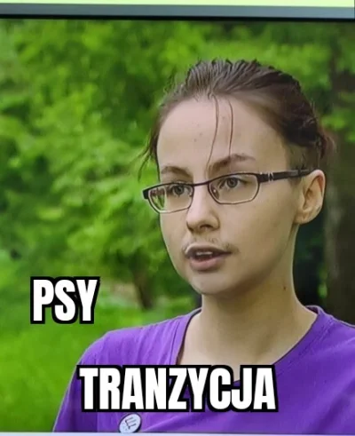 R.....l - W odświeżonej wersji psów wyprodukowanej przez Netflix, akcja dzieje się ki...