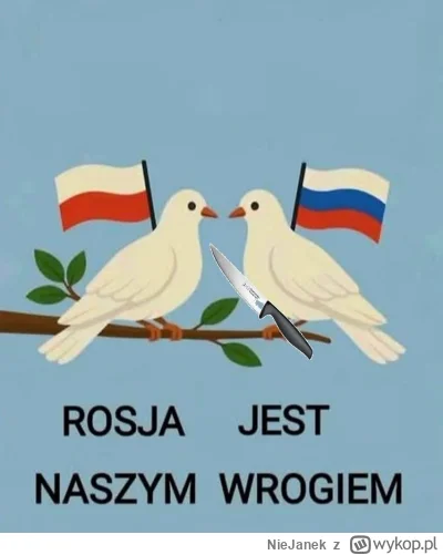 NieJanek - #rosja #wojna #polska