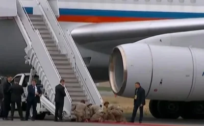 Jabby - Joe Biden > krowie łajno > długo, długo nic > Donald Trump

I nie ma tu żadne...