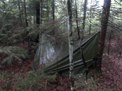 ChlopoRobotnik2137 - Oświadczenie
Pragnę poinformować , że integralność terytorialna ...