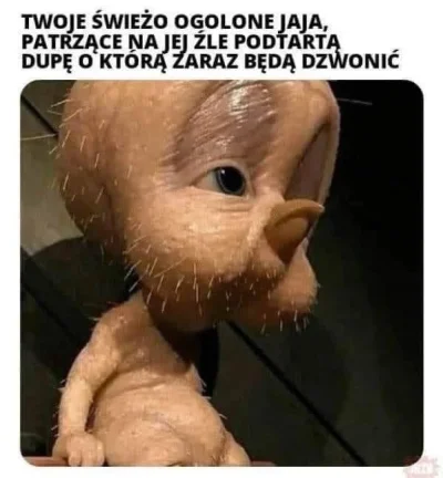 MLeko29 - Dzień dobry