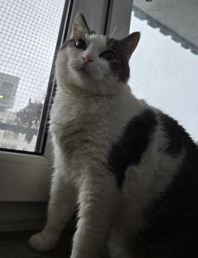 Solsith - @vateras131: ¯\(ツ)/¯