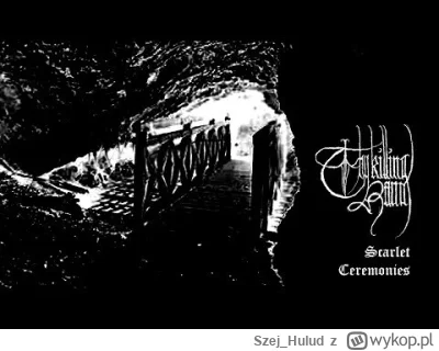 Szej_Hulud - #blackmetal #trueblackmetal
Jak będę robił remont piwnicy to zaproszę ty...