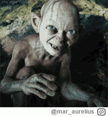 mar_aurelius - #wladcapierscieni nara tłusty hobbicie, Frodo ma nowego kumpla