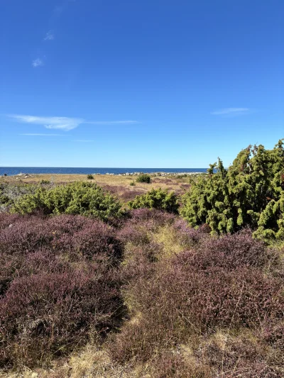 artur-kielbasinski - #rower wszystkim szczerze polecam wyprawę do Szwecji w ramach Po...