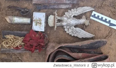 Zwiadowca_Historii - Orzeł z głowni sztandaru 12 pal odkryty w lesie! (GALERIA) Link ...