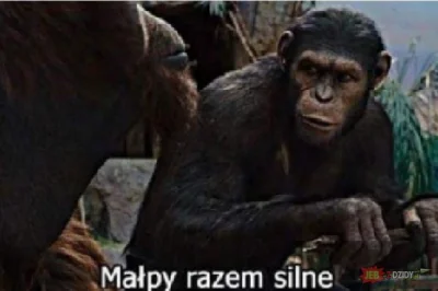 j.....a - podoba mi sie na wykopie ze mimo ze tu multum toksycznych ludzi co kryją si...