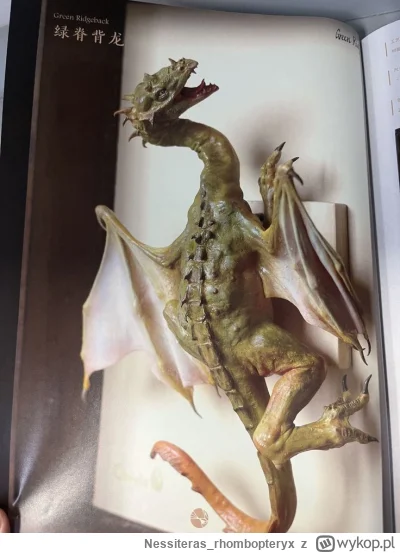 Nessiteras_rhombopteryx - #gabinetosobliwosci #smoki