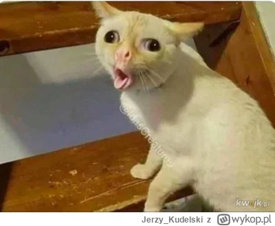 Jerzy_Kudelski - @BezLitosci a łuuuu