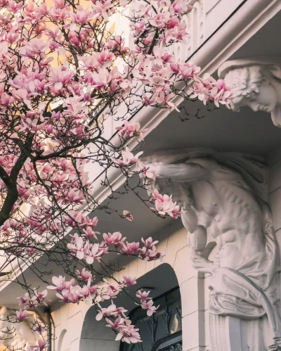 mroz3 - #dziendobry Ciepło, pochmurno.

WIATR............ wschodni południowo-wschodn...