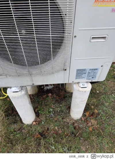 oinkoink - @oinkoink: tutaj jeszcze zdjecie jak osafzona jest moja jed zew