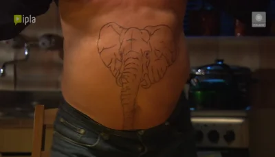 chuda_pala - Amarula - najdzikszy słoń afrykański. Uszy i zęby pan widzisz, a resztę ...