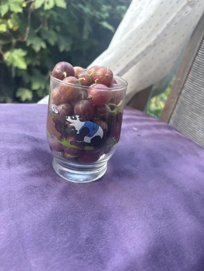 zssrauamaiw - #przegryw a wy zazdrośni v2