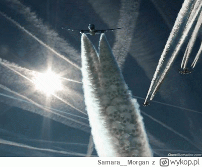 Samara__Morgan - @mvriami: