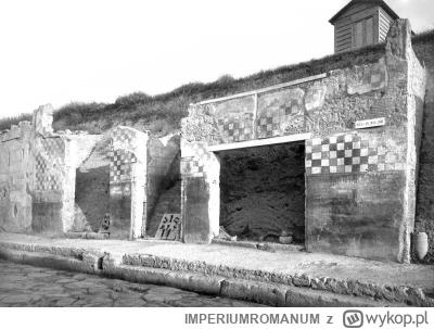 IMPERIUMROMANUM - Pralnia rzymska z Pompejów

Fotografia z 1913 roku ukazująca odkryt...