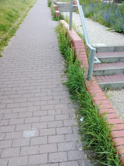 gejuszmapkt - #szczecin poszedłem biegać. Kto rozpoznaje schody ( ͡° ͜ʖ ͡°)
