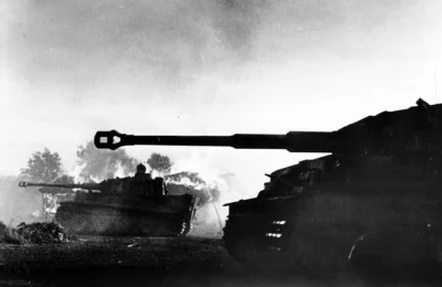 psycha - #solidarnizwfyokygom