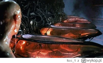 Scc_1 - Tak wyglądało to badanie