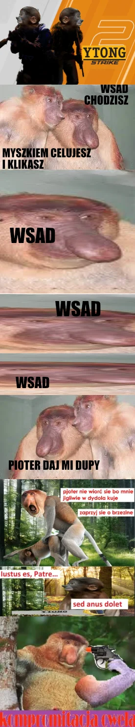 paczelok - #konkursnanajbardziejgownianymemznosaczem