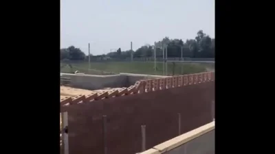 Uuroboros - #nieboperfekcjonistow