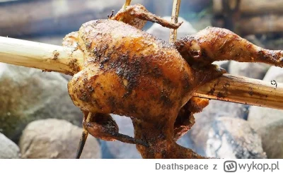 Deathspeace - Proszę Państwa w sobotę mam zamiar upiec 2 kurczaki na ognisku. Wcześni...