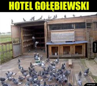 Tytanowy_Lucjan - Macie namiar na jakiś hotel/miejsce do spania, gdzie dadzą łóżko or...