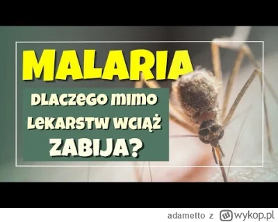 adametto - Malaria wciąż należy do grona najbardziej śmiercionośnych chorób zakaźnych...