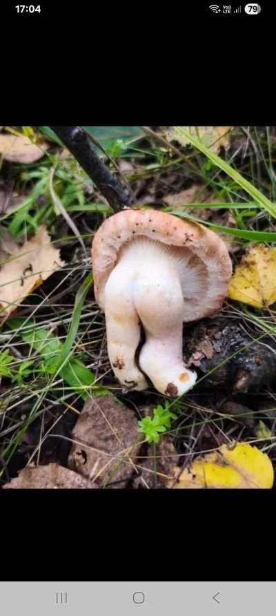 Vendigoo - @NAZWATYMCZASOWA: 🤷🏻‍♀️