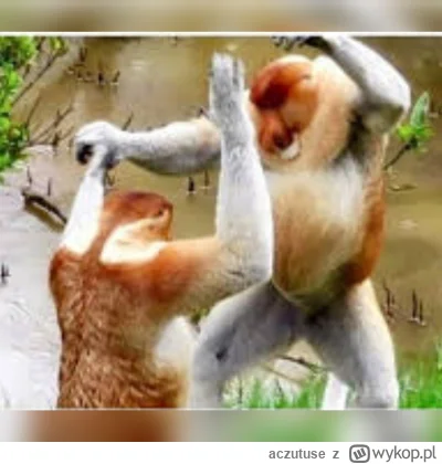 a.....e - Wreszcie ten kąkiuterowy piniomdz je***
#bitcoin