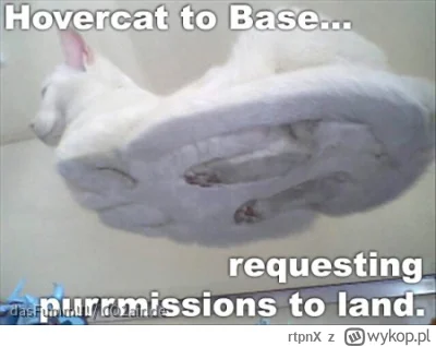 rtpnX - @wrzucamkotyi_przegrywam: