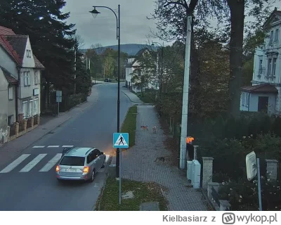 Kielbasiarz - Przedwczoraj psy zaatakowaly chlopaka, ktory JE PROWOKOWAL idac chodnik...