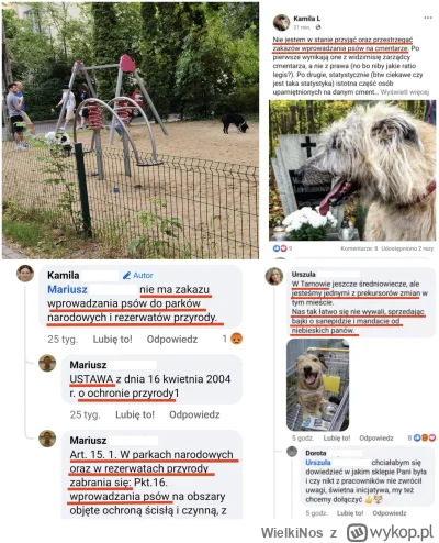 WielkiNos - @Hrjk to mamy czekać aż skoczy? Rozumiem, że nie przestrzegasz regulaminó...