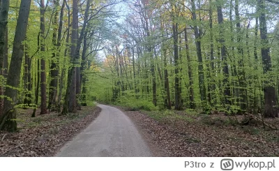 P3tro - @qbicone ja wole pomorskie szutry