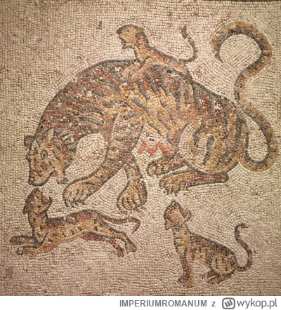 IMPERIUMROMANUM - Mozaika ukazująca tygrysicę i jej młode

Mozaika rzymska ukazująca ...