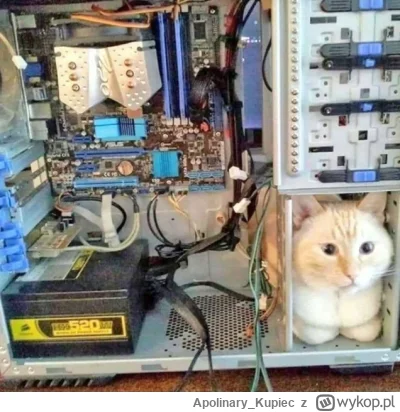 Apolinary_Kupiec - Składaliście kiedyś konkuter, a wizisie dobry jes!
#bonzo