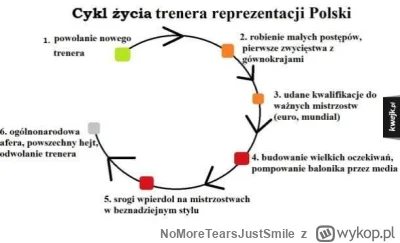 NoMoreTearsJustSmile - #mecz #pilkanozna #reprezentacja #heheszki #humorobrazkowy