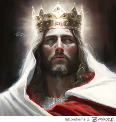 falconiforme - Jak naprawić demokrację: