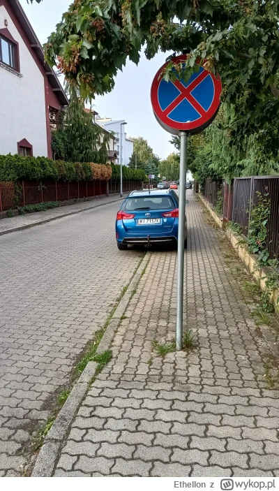 Ethellon - Stan umysłu
#samochodoza