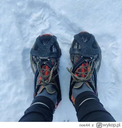 noe44 - @profaza: bez kolców nie wychodzę na bieganie całą zimę. Boje się o upadki  i...