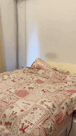 wfyokyga - @wfyokyga