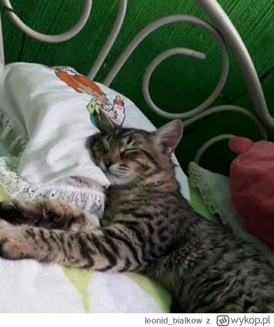 leonid_bialkow - @wfyokyga: cze dla cb