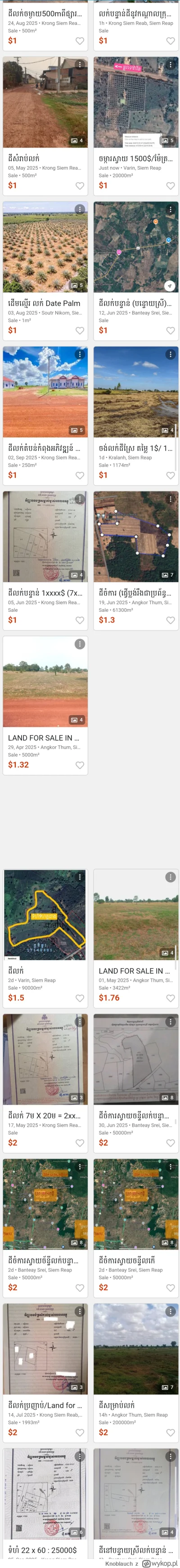 Knoblauch - #raportzpanstwasrodka 
H go wie może kupił może nie, 1$ 1m2