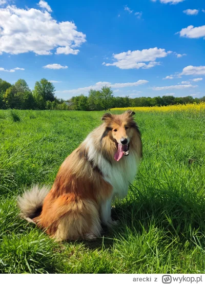 arecki - @ItsyBitsyPajonk: