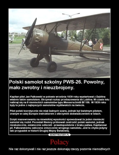 kotwlesie1 - Inny warty przypomnienia wyczyn polskiego pilota!